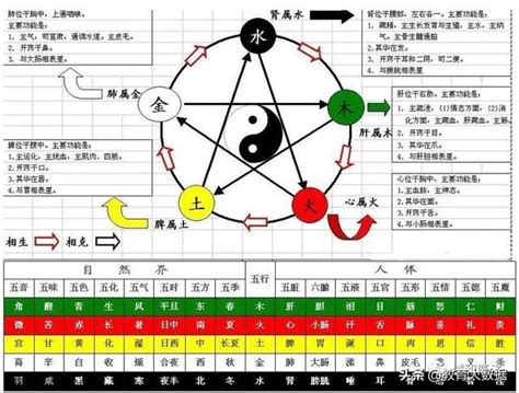 天的五行|五行